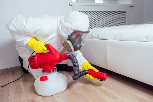 Best Pest Prevention Services  in Bliss Corner, MA